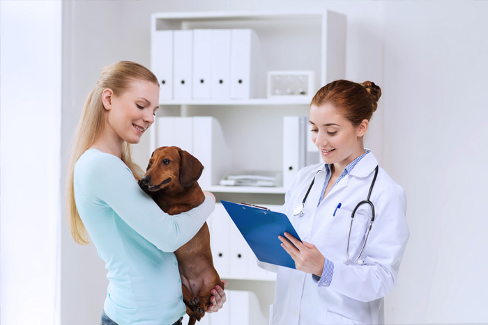 ЭЦП для оформления ветеринарных сертификатов (ГИС Меркурий) в Бийске